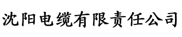 欧美大片又粗又硬无遮挡电缆厂logo